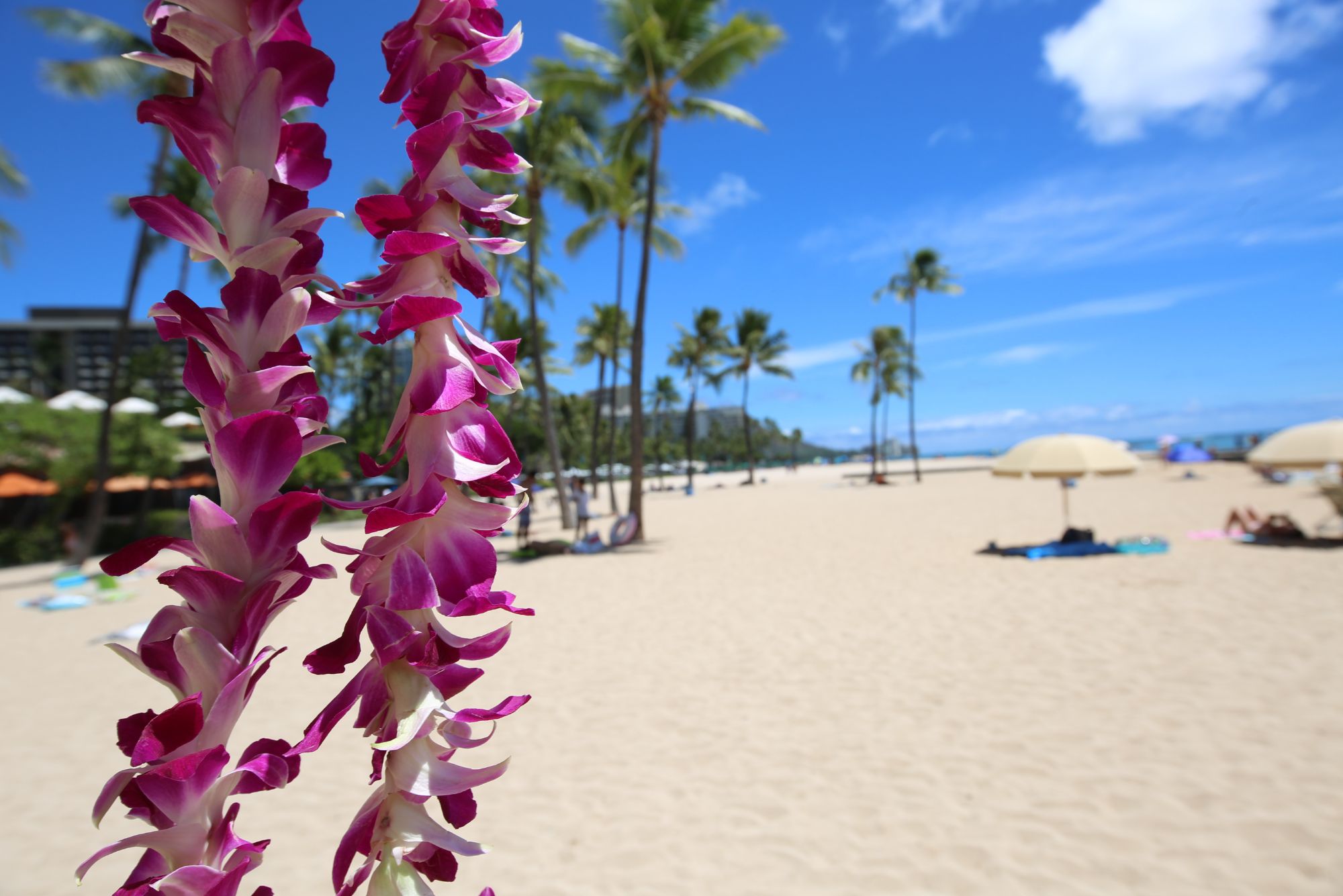Family vacation to Hawaii on a budget