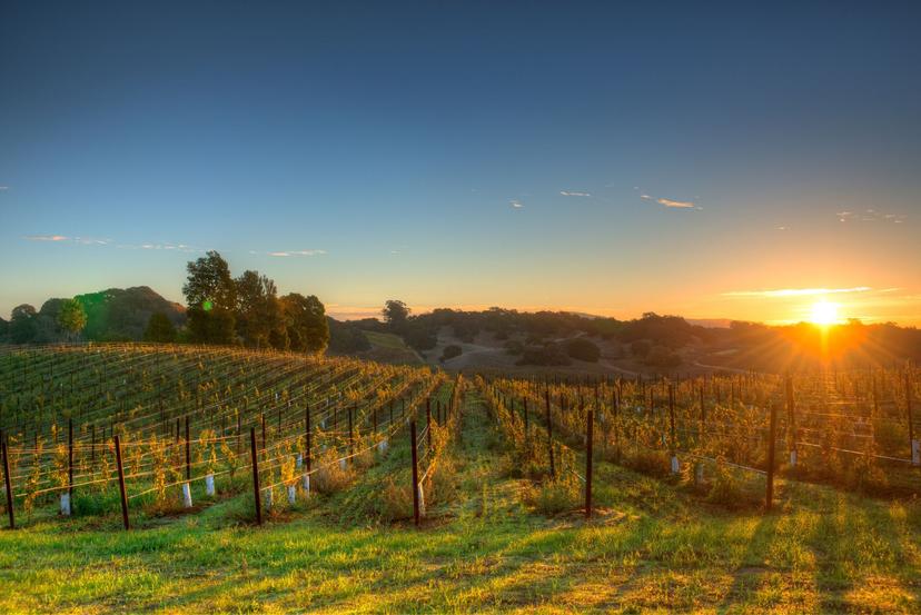 A First-Timer’s Approach to Choosing the Best Hotels To Stay in Napa Valley