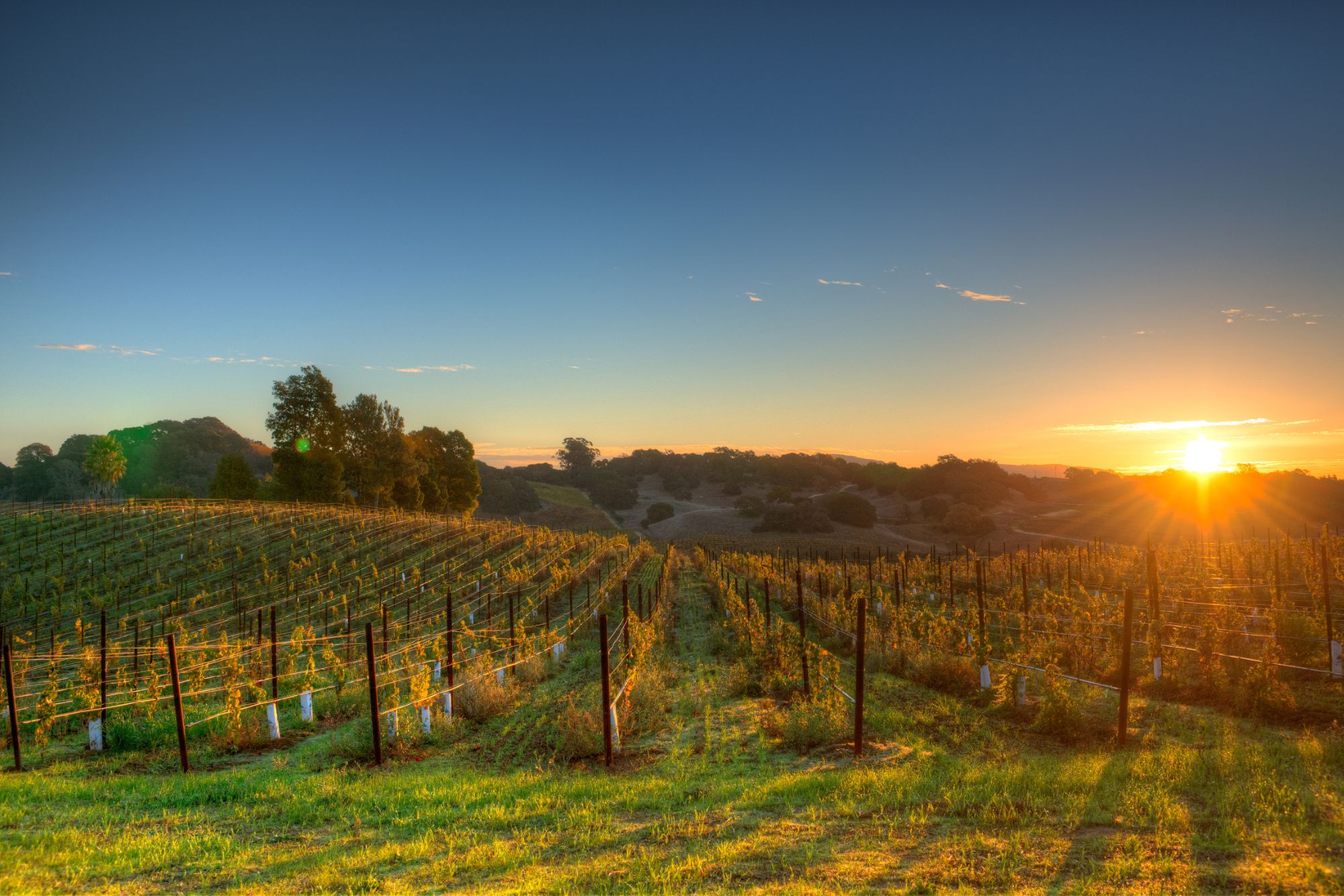 Best Hotels To Stay in Napa Valley Hotels in Napa Valley downtown